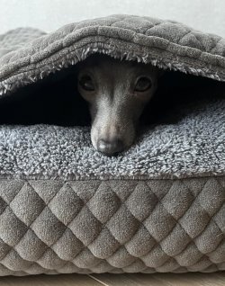 Beds matching your interior