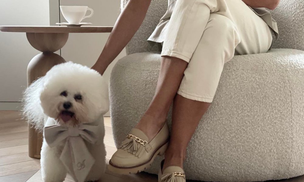 The most stylish accessories