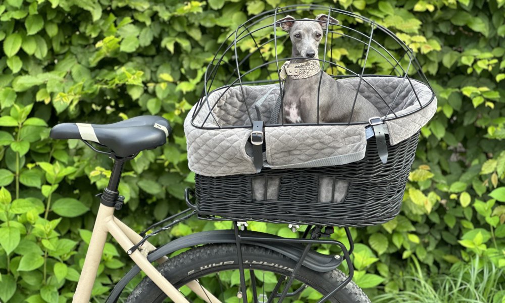 Bicycle baskets