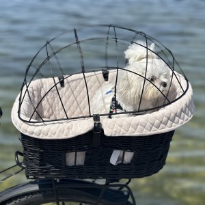Graphite bicycle rack basket with cover beige