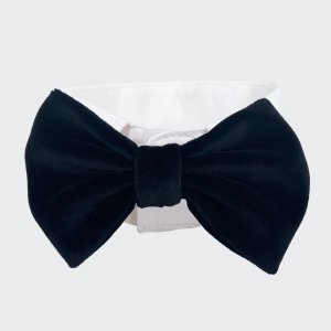 Black bow tie collar