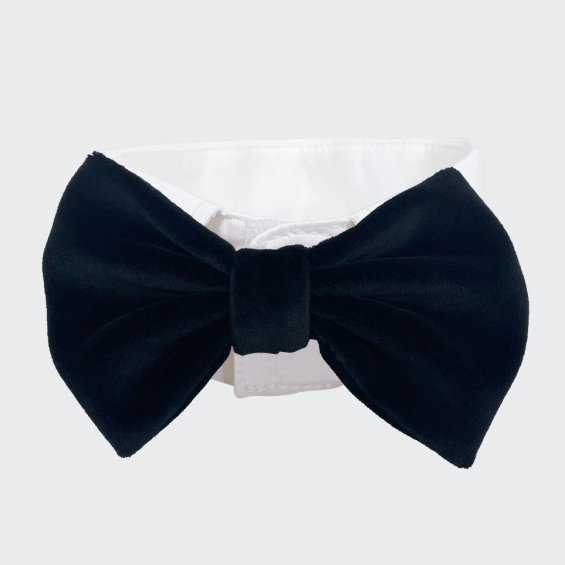 Black bow tie collar