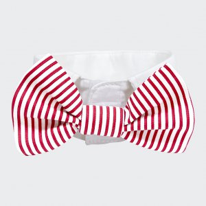 Striped bow tie collar