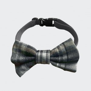 Collar with gray checkered bow tie