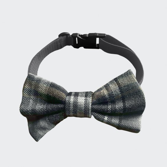 Collar with gray checkered bow tie