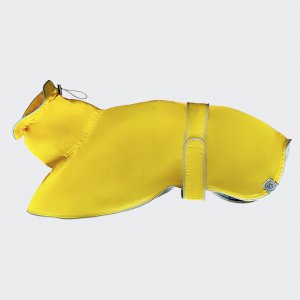 Raincoat yellow